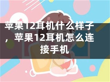 苹果12耳机什么样子，苹果12耳机怎么连接手机