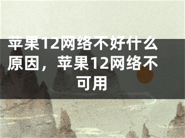 苹果12网络不好什么原因，苹果12网络不可用