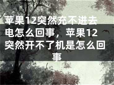 苹果12突然充不进去电怎么回事，苹果12突然开不了机是怎么回事