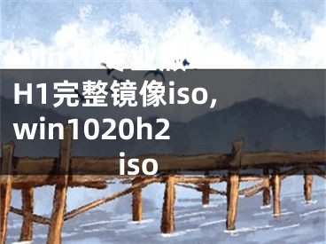 win10专业版21H1完整镜像iso,win1020h2 iso