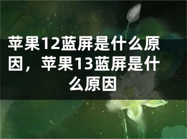 苹果12蓝屏是什么原因，苹果13蓝屏是什么原因