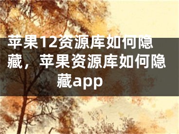 苹果12资源库如何隐藏，苹果资源库如何隐藏app