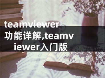 teamviewer功能详解,teamviewer入门版