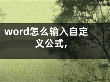 word怎么输入自定义公式,