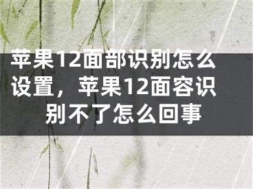 苹果12面部识别怎么设置，苹果12面容识别不了怎么回事