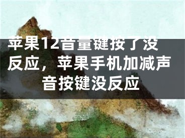 苹果12音量键按了没反应，苹果手机加减声音按键没反应