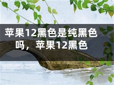 苹果12黑色是纯黑色吗，苹果12黑色