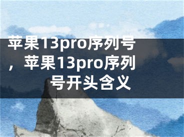 苹果13pro序列号，苹果13pro序列号开头含义