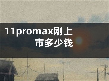 11promax刚上市多少钱