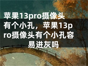 苹果13pro摄像头有个小孔，苹果13pro摄像头有个小孔容易进灰吗