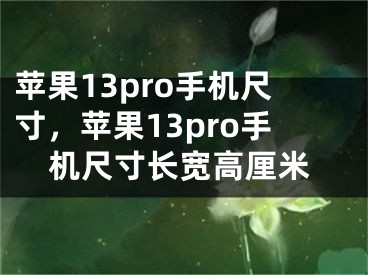 苹果13pro手机尺寸，苹果13pro手机尺寸长宽高厘米