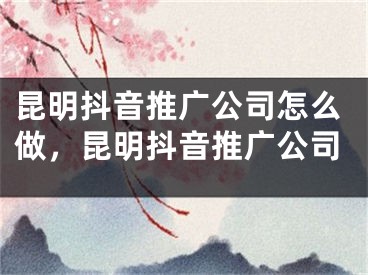 昆明抖音推广公司怎么做，昆明抖音推广公司