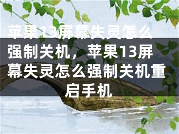 苹果13屏幕失灵怎么强制关机，苹果13屏幕失灵怎么强制关机重启手机