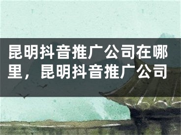 昆明抖音推广公司在哪里，昆明抖音推广公司