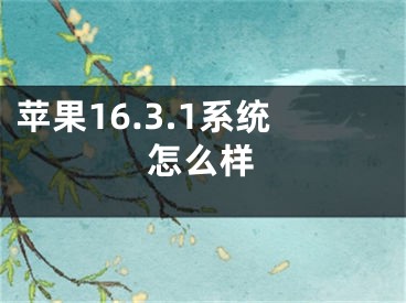 苹果16.3.1系统怎么样