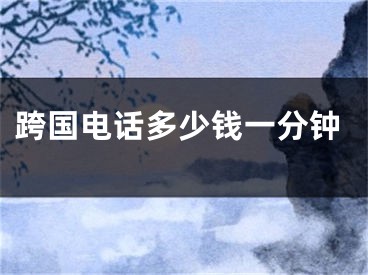 跨国电话多少钱一分钟