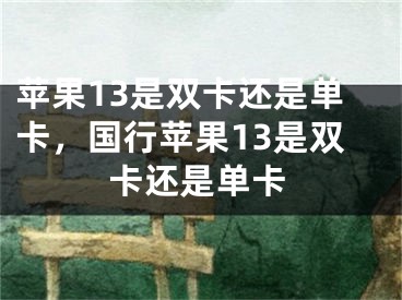 苹果13是双卡还是单卡，国行苹果13是双卡还是单卡