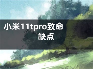 小米11tpro致命缺点