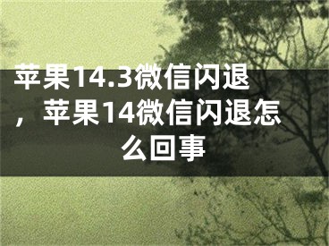 苹果14.3微信闪退，苹果14微信闪退怎么回事