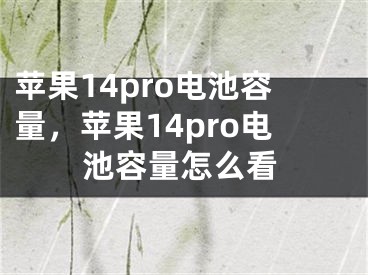 苹果14pro电池容量，苹果14pro电池容量怎么看