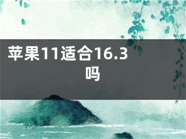 苹果11适合16.3吗