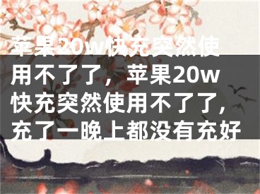 苹果20w快充突然使用不了了，苹果20w快充突然使用不了了,充了一晚上都没有充好