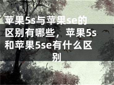 苹果5s与苹果se的区别有哪些，苹果5s和苹果5se有什么区别 