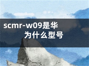 scmr-w09是华为什么型号