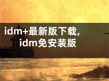 idm+最新版下载,idm免安装版