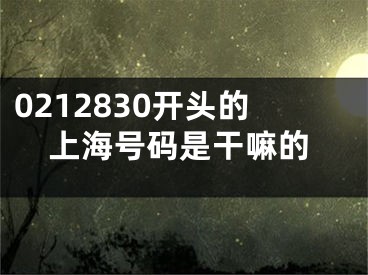 0212830开头的上海号码是干嘛的