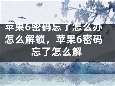 苹果6密码忘了怎么办怎么解锁，苹果6密码忘了怎么解