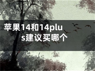 苹果14和14plus建议买哪个