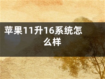 苹果11升16系统怎么样