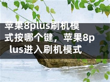 苹果8plus刷机模式按哪个键，苹果8plus进入刷机模式