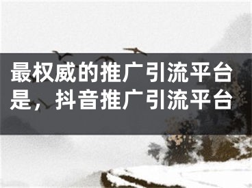 最权威的推广引流平台是，抖音推广引流平台