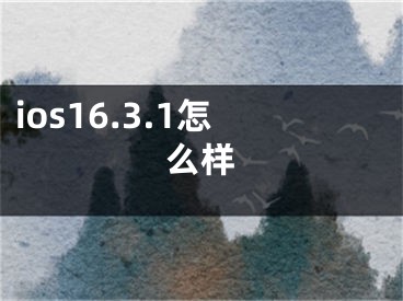 ios16.3.1怎么样