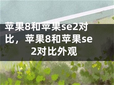 苹果8和苹果se2对比，苹果8和苹果se2对比外观