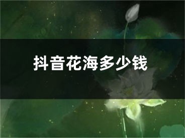 抖音花海多少钱