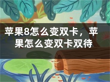 苹果8怎么变双卡，苹果怎么变双卡双待