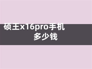 硕王x16pro手机多少钱