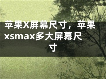 苹果X屏幕尺寸，苹果xsmax多大屏幕尺寸