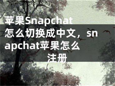 苹果Snapchat怎么切换成中文，snapchat苹果怎么注册