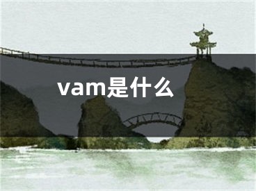 vam是什么