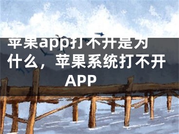 苹果app打不开是为什么，苹果系统打不开APP