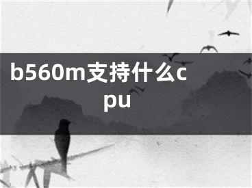 b560m支持什么cpu