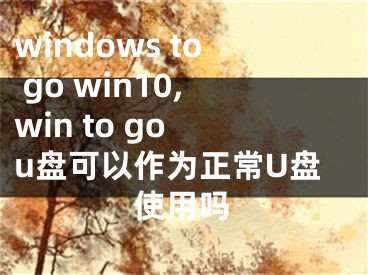 windows to go win10,win to go u盘可以作为正常U盘使用吗