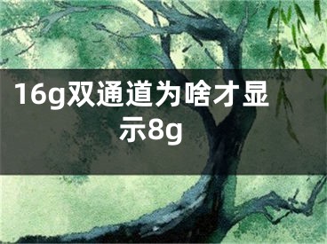 16g双通道为啥才显示8g