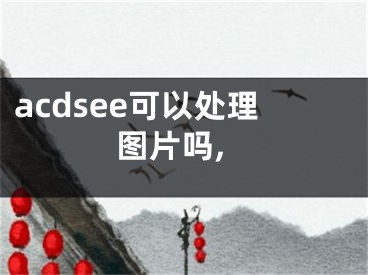 acdsee可以处理图片吗, 