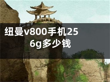 纽曼v800手机256g多少钱