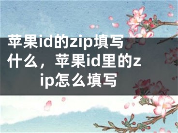 苹果id的zip填写什么，苹果id里的zip怎么填写